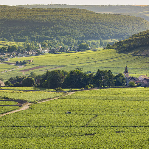 © BIVB / Aurélien Ibanez