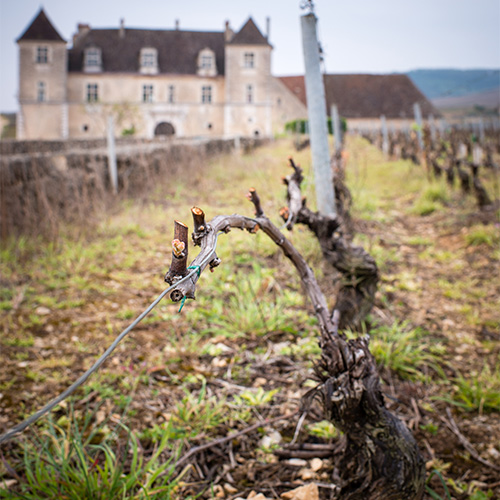 © BIVB / Michel Joly