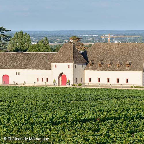 © Château de Marsannay