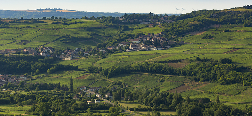 © BIVB / Aurélien Ibanez