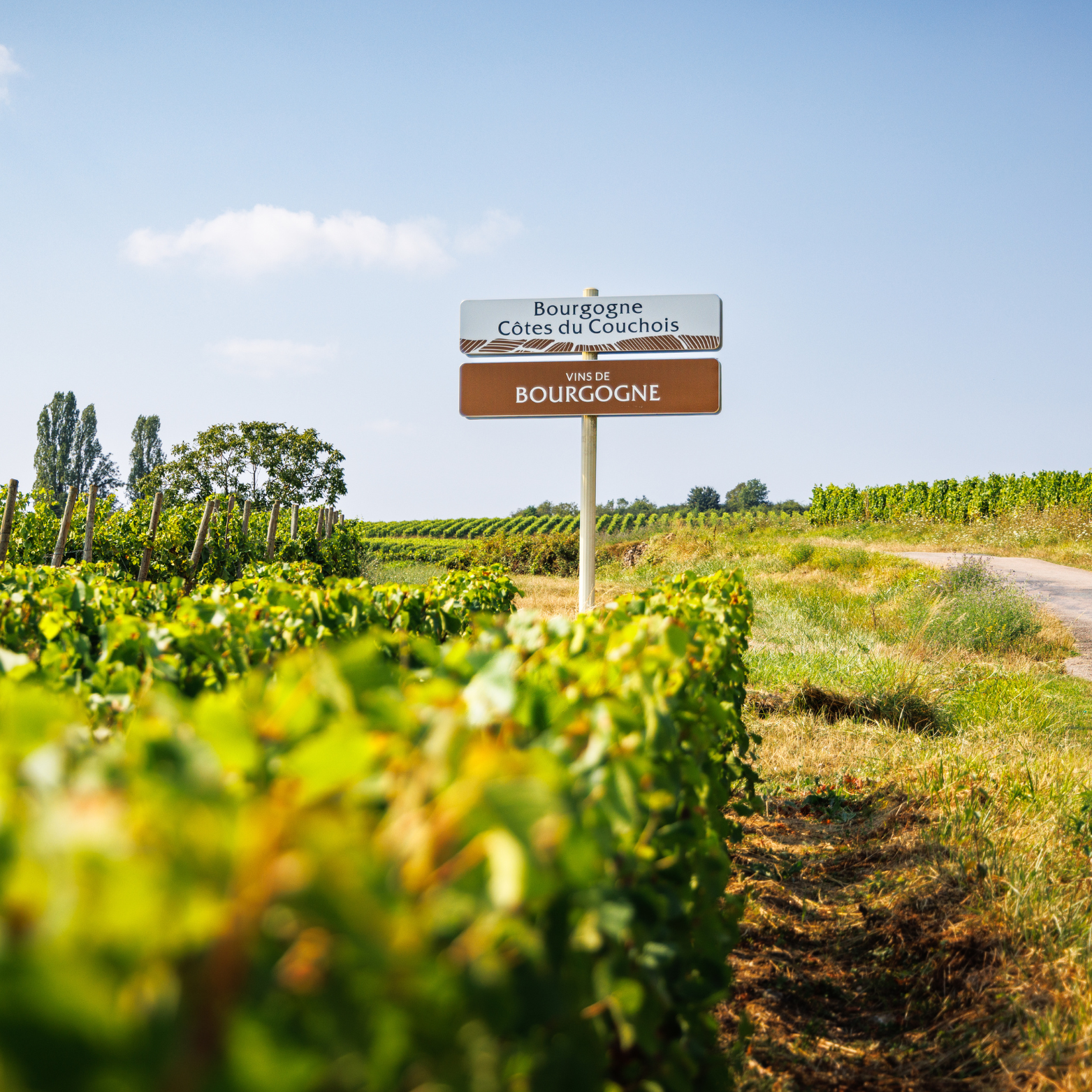 © BIVB / Aurélien IBANEZ