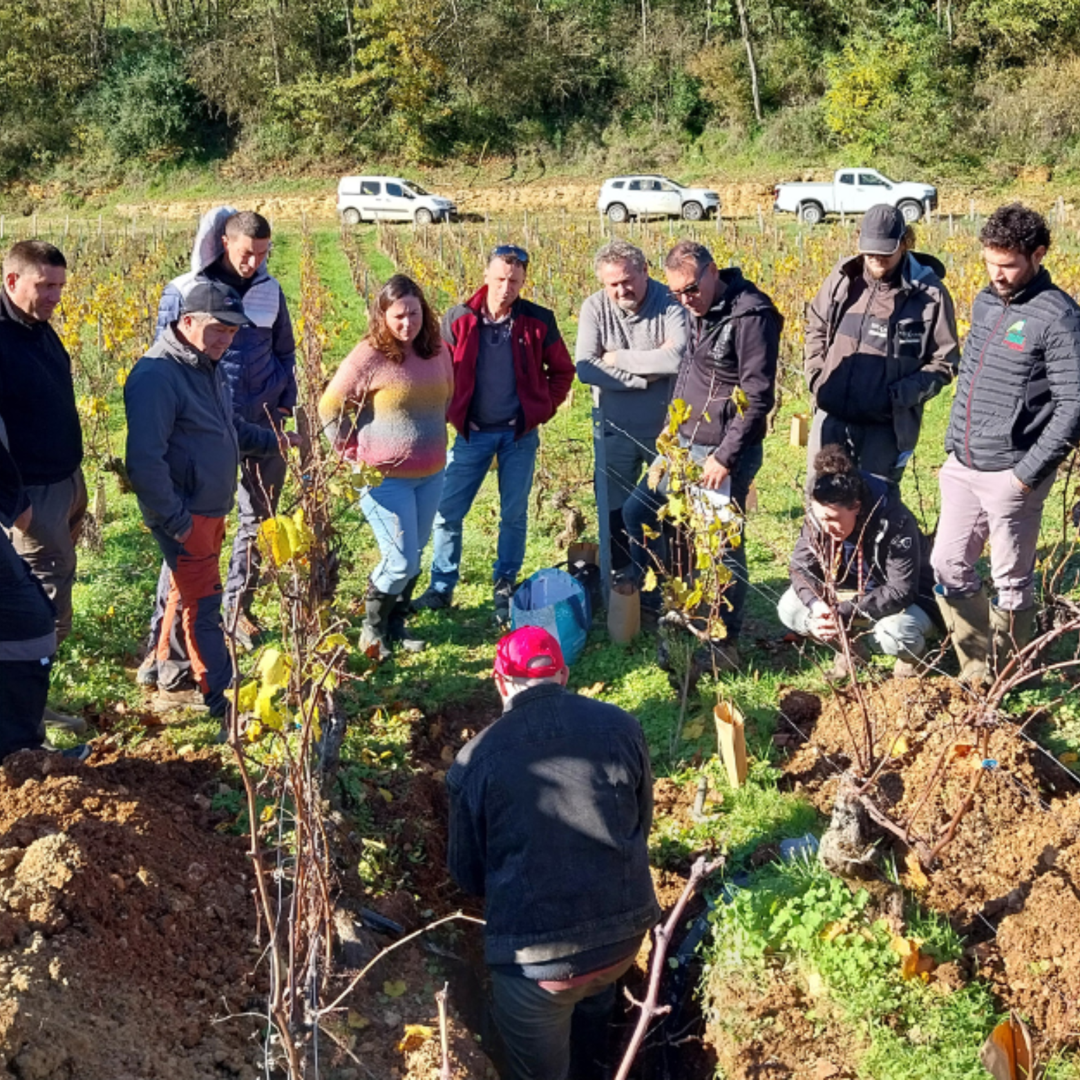 © Droits réservés