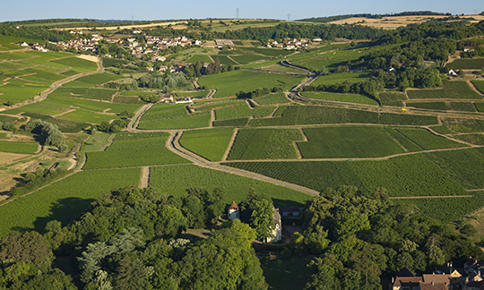 © BIVB / Aurélien Ibanez - Vue aérienne de Montagny