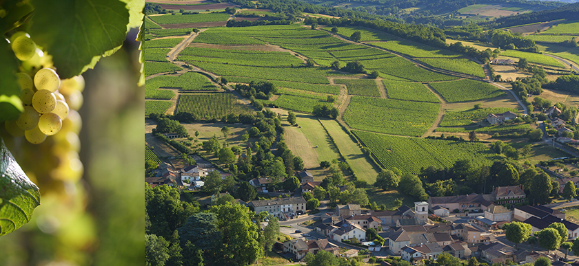 © BIVB / Aurélien Ibanez / www.armellephotographe.com - Village de Chardonnay