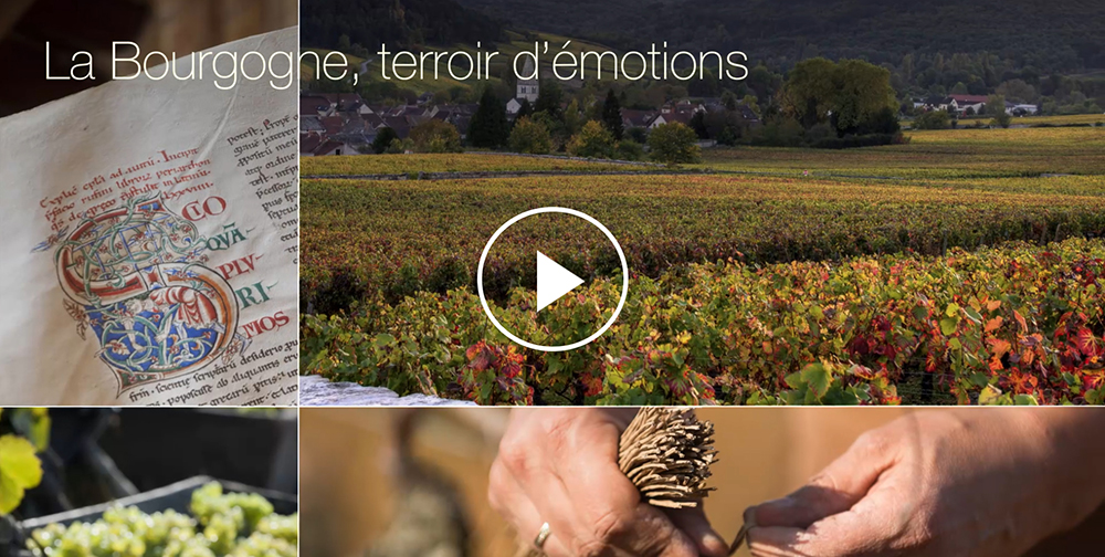 © BIVB – Court-métrage « La Bourgogne, terroir d’émotions »