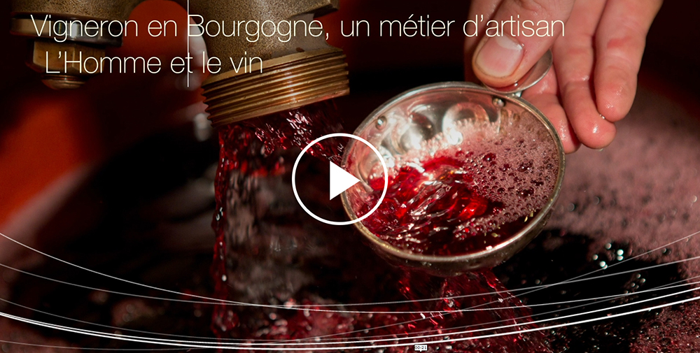 © BIVB / Droits réservés – Teaser du film Vignerons en Bourgogne, un métier d’ar