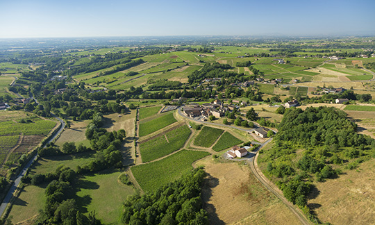 © BIVB / Aurélien Ibanez