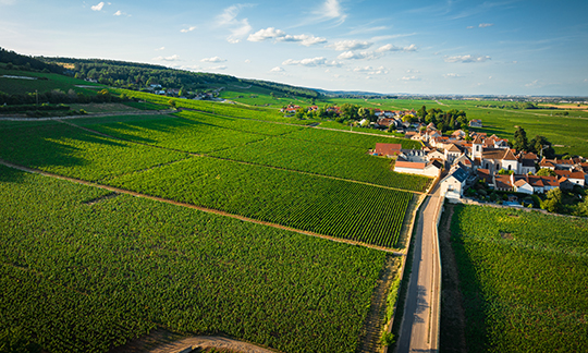 © BIVB / Aurélien Ibanez