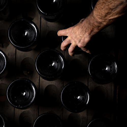 © Etienne RAMOUSSE Images