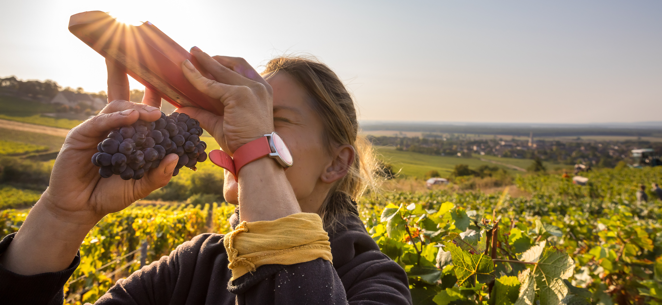 © BIVB / Etienne RAMOUSSE Images