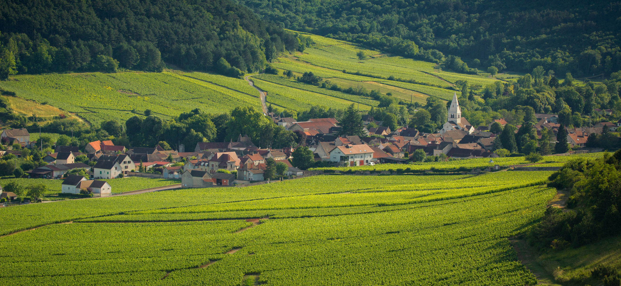 © BIVB / Aurélien IBANEZ