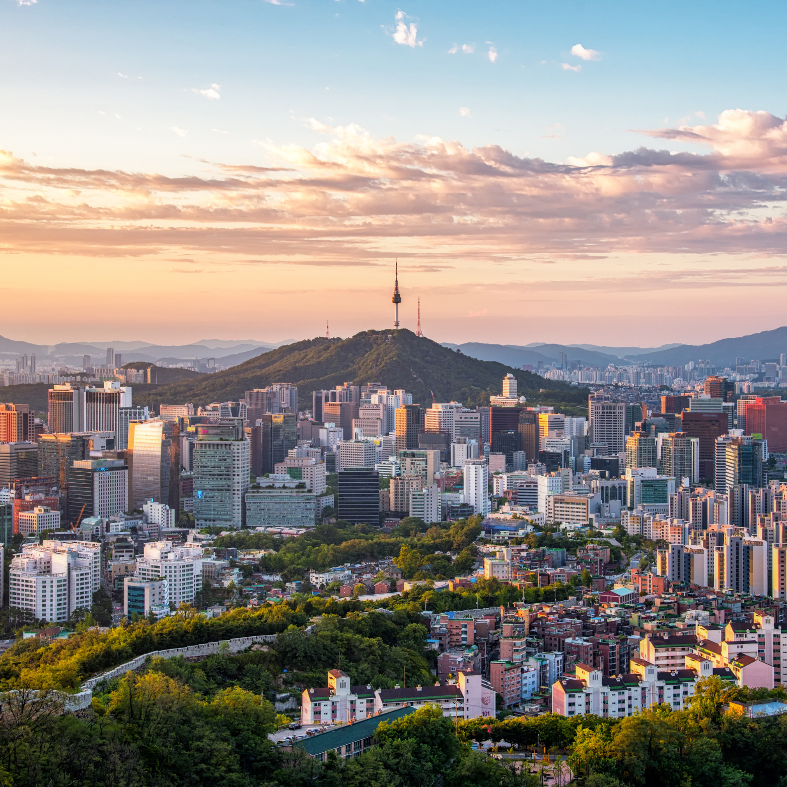 © Adobe Stock