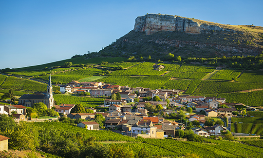 © BIVB / Aurélien IBANEZ - Paysage dans le vignoble du Mâconnais : Vergisson