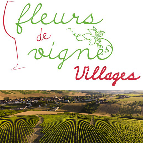 © BIVB / Sébastien Boulard - Village de l’appellation Bourgogne Côte d'Auxerre : Saint-Bris-le-Vineux