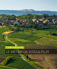 © BIVB / Droits réservés - Brochure Comprendre le métier de viticulteur