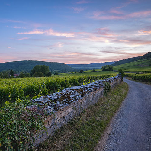 © BIVB / Aurélien Ibanez