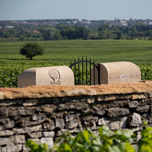 © BIVB / www.armellephotographe.com - Muret de Bourgogne