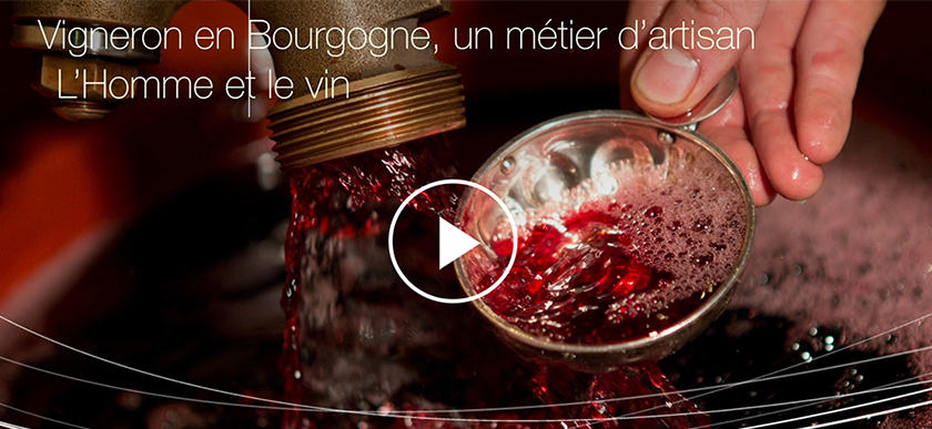©  BIVB / Aurélien Ibanez – Teaser « L’Homme et le vin »