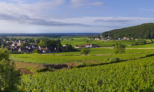 © BIVB / Aurélien Ibanez