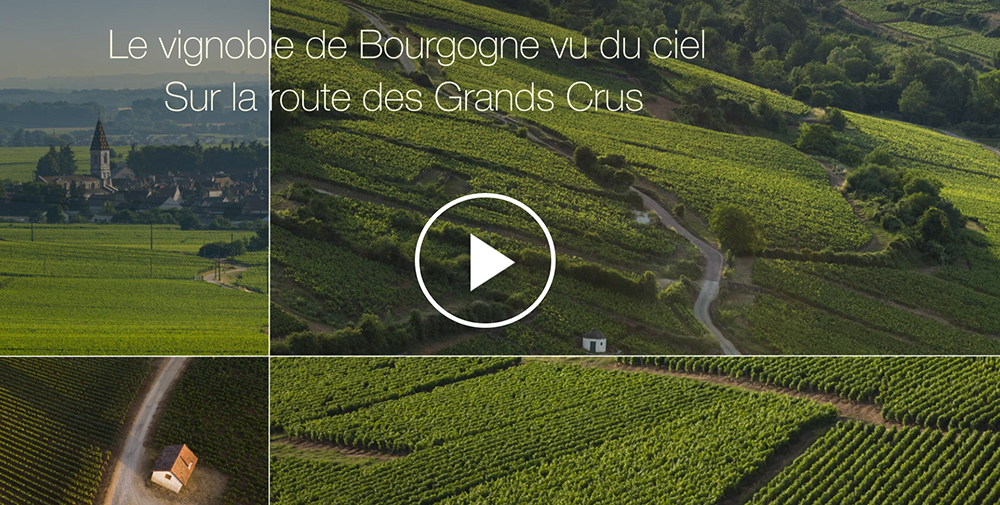 © BIVB / Aurélien Ibanez