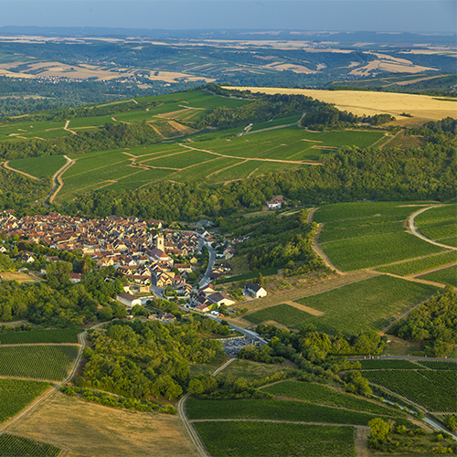 © BIVB / Aurélien Ibanez