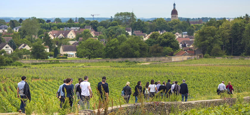 © BIVB / Aurélien Ibanez