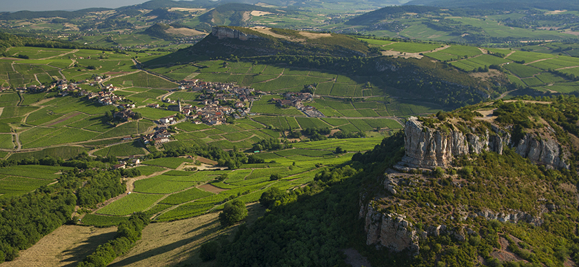 © BIVB / Aurélien Ibanez