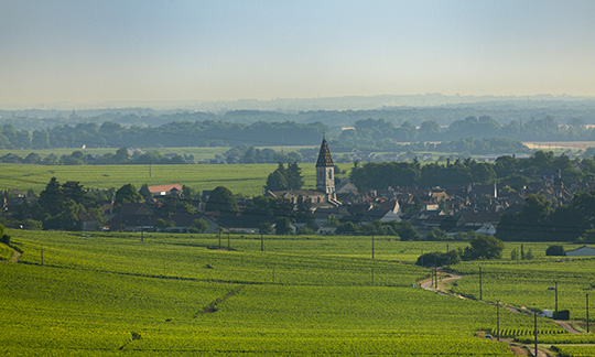 © BIVB / Aurélien Ibanez