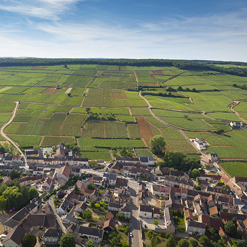 © BIVB / Aurélien Ibanez