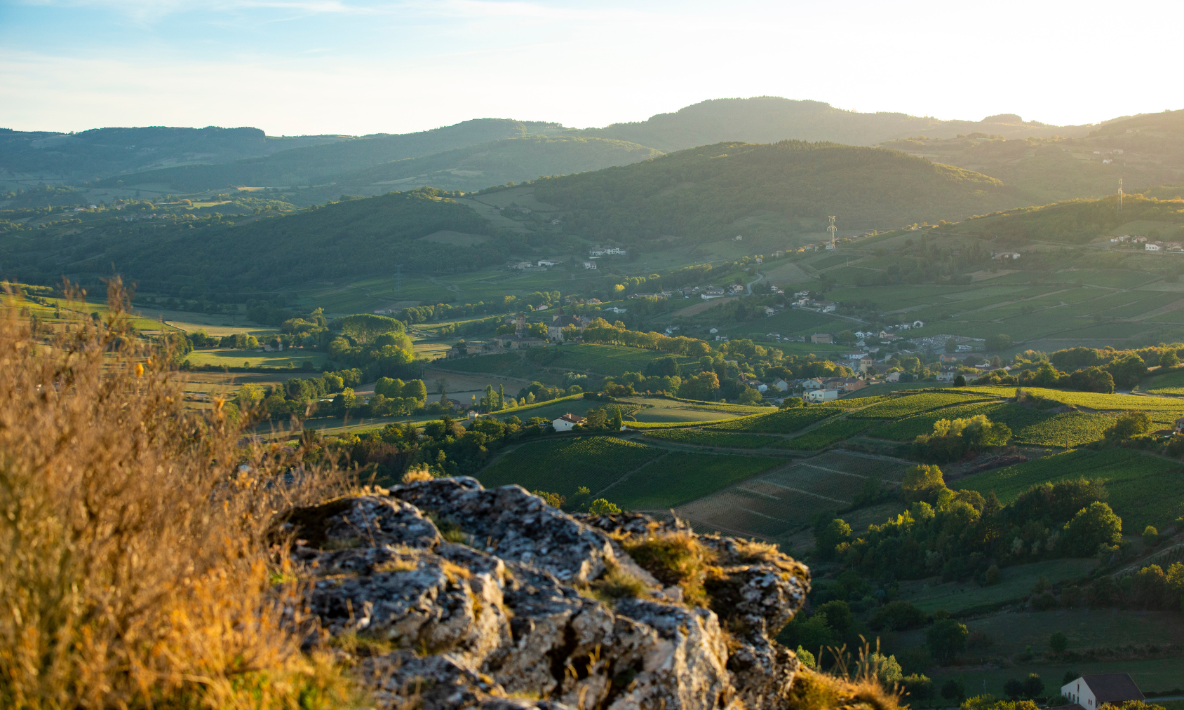 © BIVB / Aurélien IBANEZ