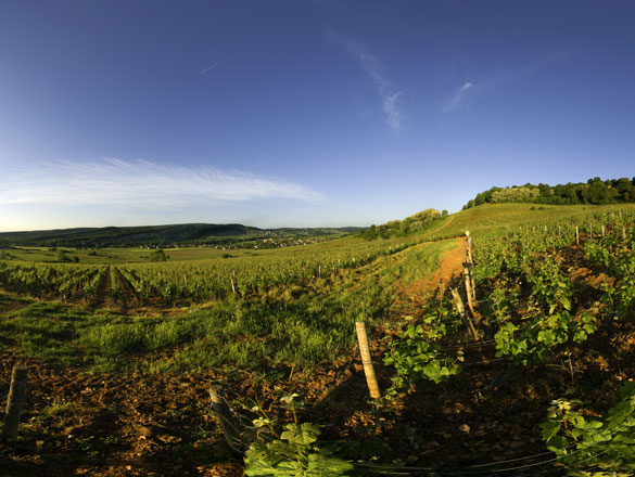 Bourgogne Côte Chalonnaise