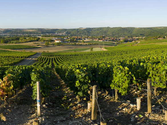 Bourgogne Epineuil