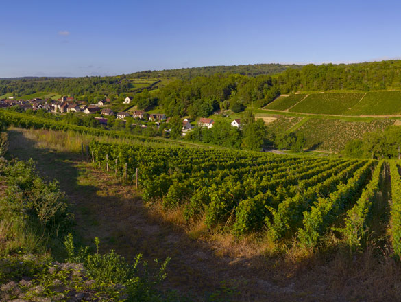 Bourgogne Hautes Côtes de Beaune