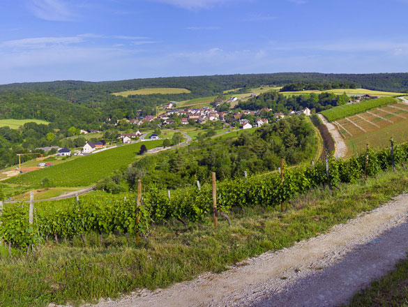 Bourgogne Hautes Côtes de Nuits