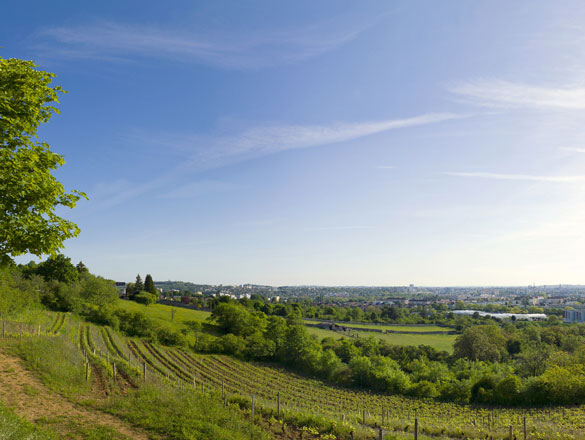 Bourgogne Montrecul