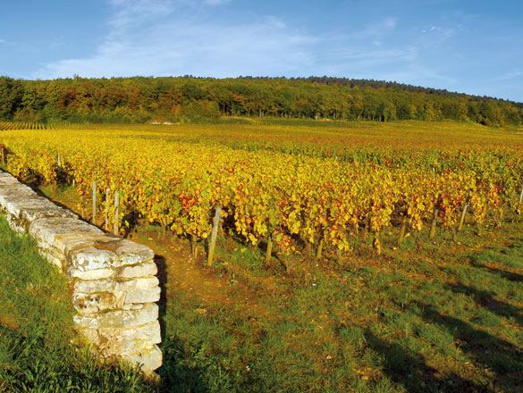 Chambertin