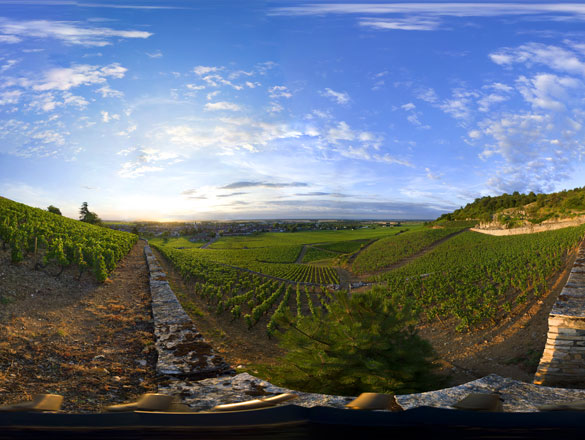 Nuits-Saint-Georges Nuits-Saint-Georges