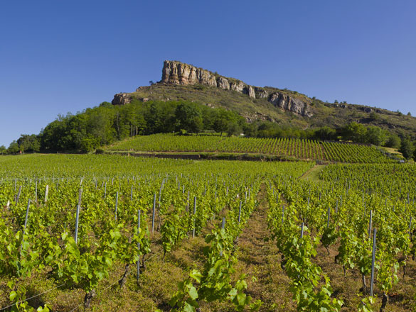 Pouilly-Fuissé