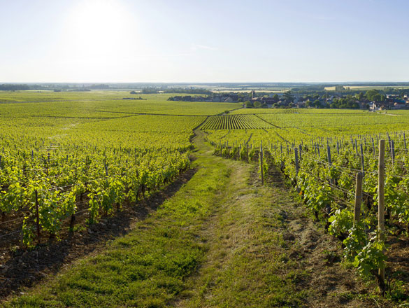 Romanée (La)